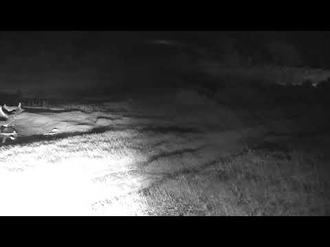 Djuma: Lone Hyena passes by and gets quick drink at pan - 03:45 - 02/05/19