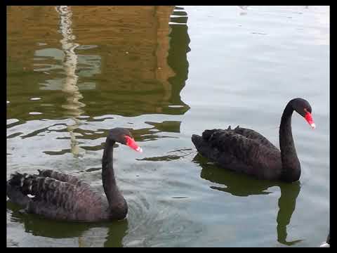 Hotel MARIDOR din Tohanu Nou, zona Bran-Moeciu-Zărnești