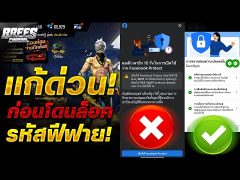 ฟีฟาย