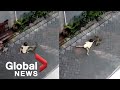 Monkey Riding Tiny Bicycle Attacks Toddler In Shocking Video
