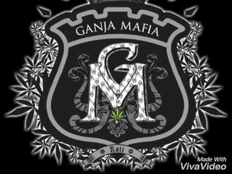 Ganja mafia