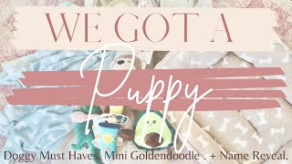 We Are Getting A Mini Golden Doodle Puppy! Name Reveal, Puppy Haul, Amazon Pet Finds & More!