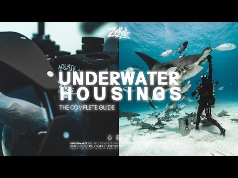 Complete Guide to Underwater Housings (Aquatica vs Sea Frogs vs Ikelite)