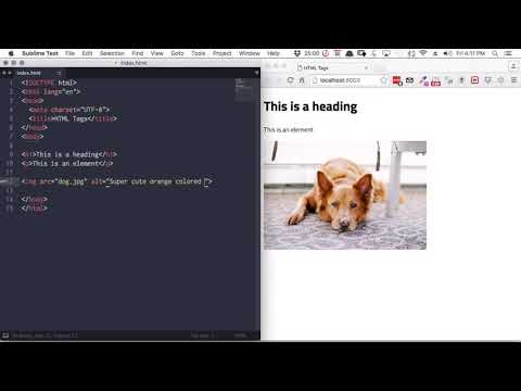 Ingin Belajar Dasar Dasar Desain Web  Mulailah dari sini