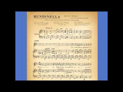 SERGIO BRUNI -- RUNDINELLA