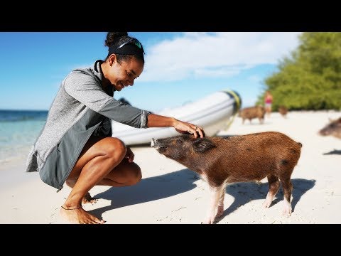The "Other" Pig Island in the Bahamas— Sailing Uma [Step 154]