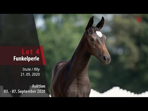 Online-Auktion v. 03. - 07.09.2020 Lot 4 Funkelperle Stute v.Franziskus - De Niro