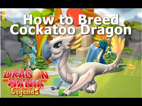 How to Breed Cockatoo Dragon-Dragon Mania Legends | DML