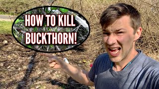 HOW TO KILL BUCKTHORN!