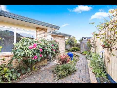 8A Benders Avenue, Hillcrest, North Shore City, 3 कमरे, 2 बाथरूम, House