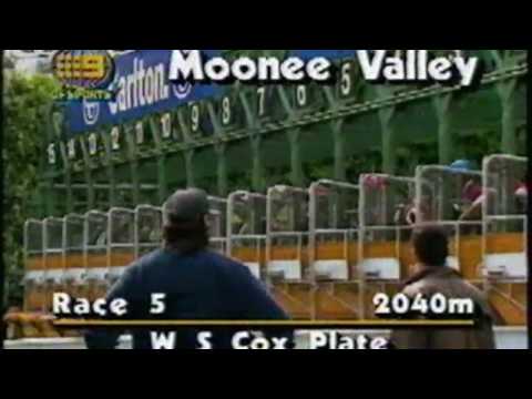 1991 Cox Plate - Surfers Paradise