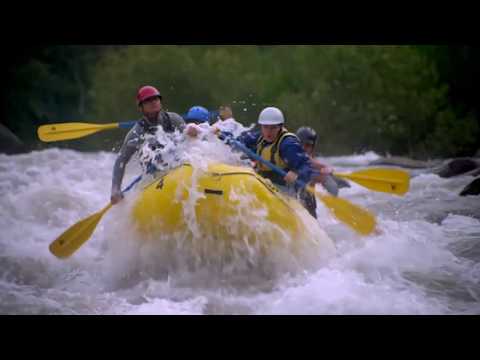 Renovado Colmillo Norteño - Soy puro Veracruz el diente