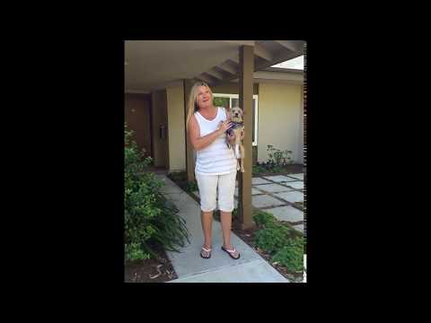 Video testimonial