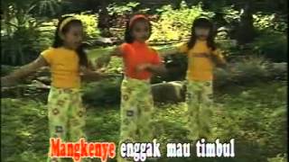 Download lagu Sang Kodok mp3 Download lagu Sang Kodok mp3