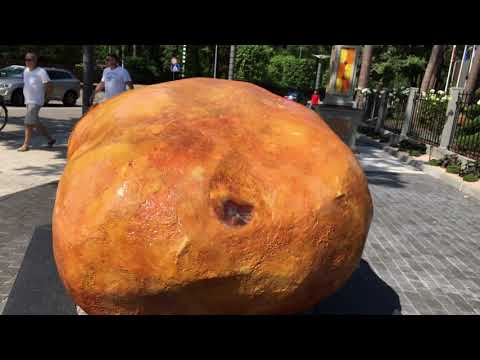 Jūrmala, Dzintari, Turaidas kavartāls un lielais dzintars