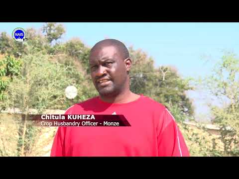 REPORT ON GIZ SUPPORT