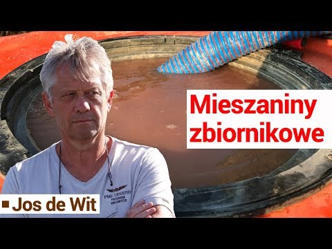 Członek jest zbyt mała Mała wysypka na penisie