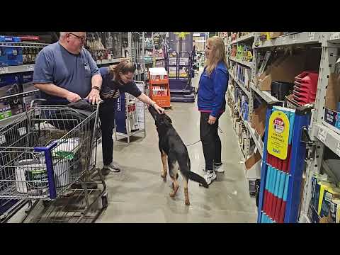Paint Shopping With "Duel" At The Store