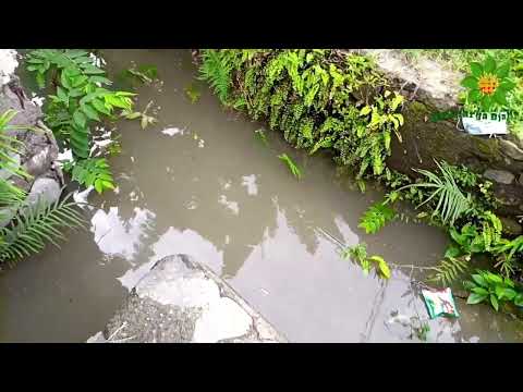 Banjir Membawa Berkah di Tahun 2023