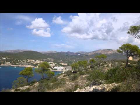 Hotel Viva Eden Lago in Alcudia (Mallorca - Spanien) Bewertung und Erfahrungen