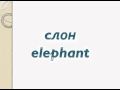 How to speak russian - Animals / Животные 