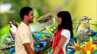 PAJARICO CANTA ALEGRE. JOTA DE ALMA NAVARRA.