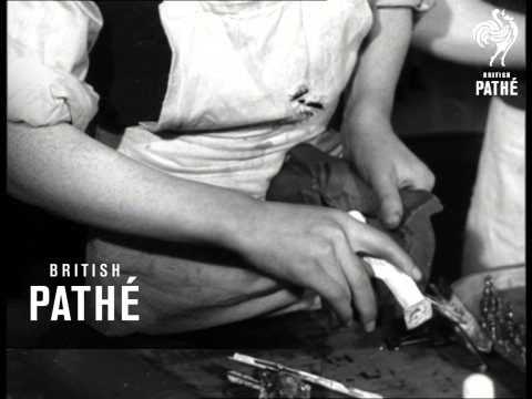 Boy-Toymakers (1954)