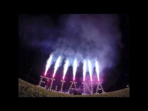 The BEST Gender Reveal YET!!