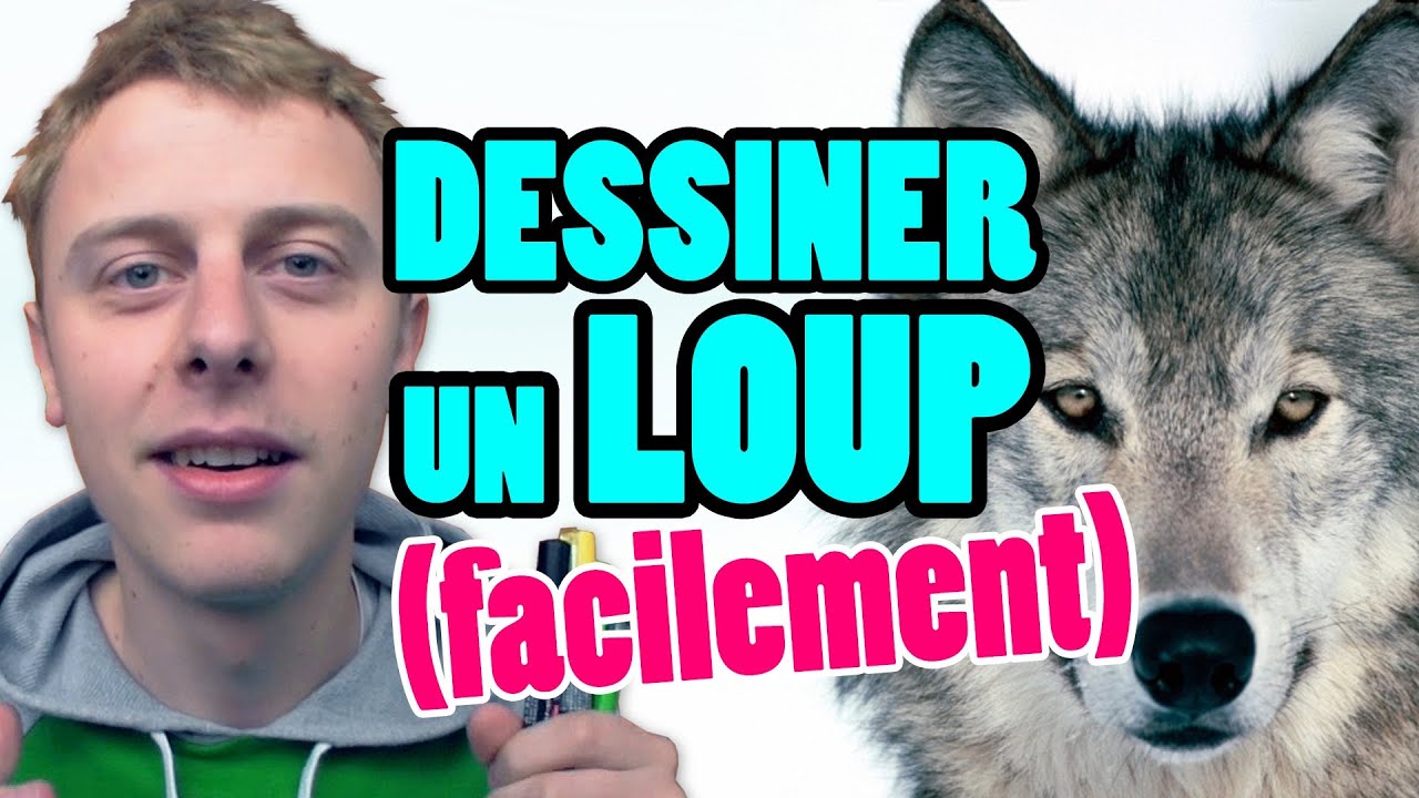 PETIT BONUS - COMMENT DESSINER UN LOUP FACILEMENT (NORMAN) thumbnail