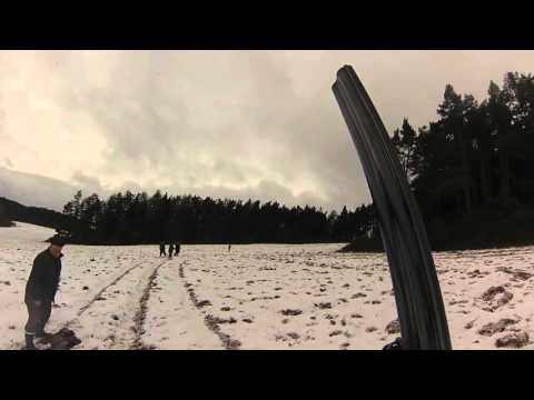 Fasanenjagd - Czech republic 2015