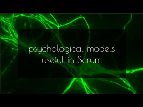Psychological Models in Scrum - ScrumPulse #6