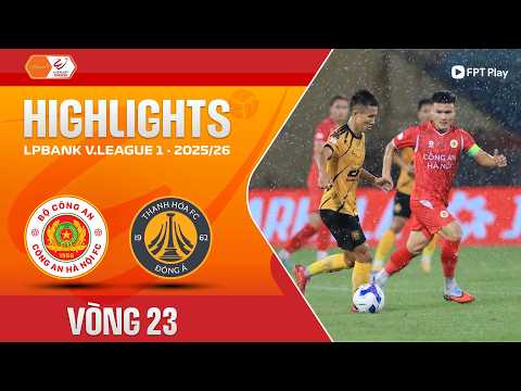 bg-highlight