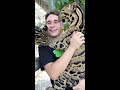 CLOUDED LEOPARD LICKS MY FACE🐯👅