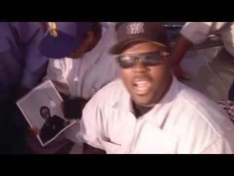 Słoniu x Adolf - ZIOMALOWSKI KLIMAT XD