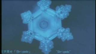 Mensagem da água (LINDO): palestra de Masaru Emoto -  (Nova Consciência)
