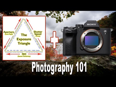 The Exposure Triangle Explained For Beginners - Using Sony A7 IV