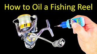How to Oil a Fishing Reel - Spinning Reel Maintenance