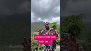 जुलाई में kainchidham आने वाले श्रद्धालुओं #neemkarolibaba #kainchidham #shortsfeed #youtubeshorts