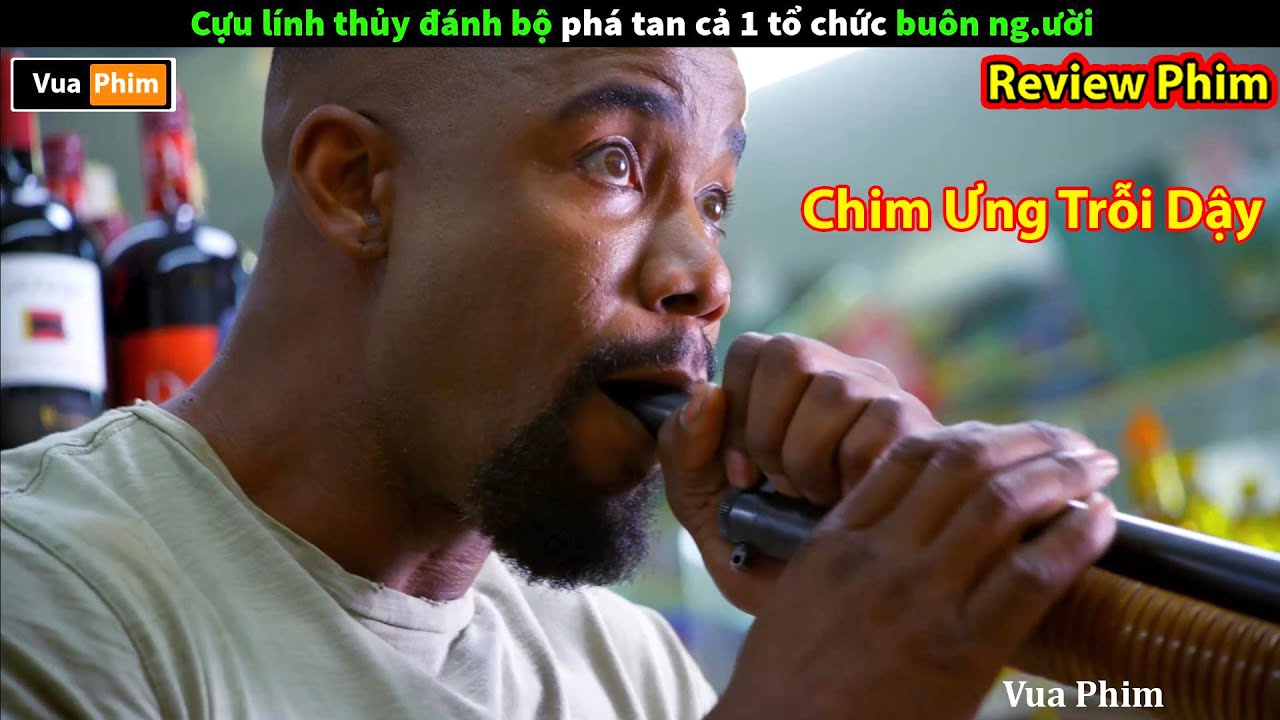 Falcon Rising (2014) – A Relentless Journey Through Violence and Redemption