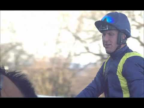 'Fiddlerontheroof' Wins The 'Unibet Tolworth Novices' Hurdle (Grade 1) At Sandown