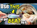 The #1 Technique in Bass Fishing that the Pros DON'T want You to Know...