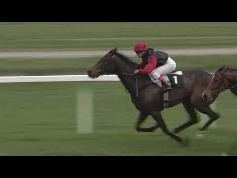 CH, 15. 4. 2018, 6. dostih - CENA SHAMALGANA