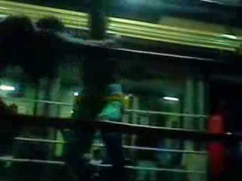 BIG 5 GYM BOXING PALARCA