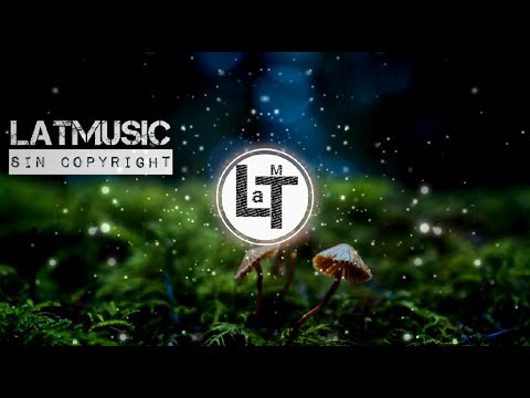 New Dawn Is Rising   Stonekeepers 🎶{LaTMusic No Copyryght}🎶