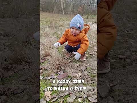 Obrazek poglądowy filmu YouTube