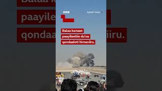 Download lagu Battala jeettiin waraanaa Dubaayitti paayileetii galaafate | BBC News Afaan Oromoo mp3