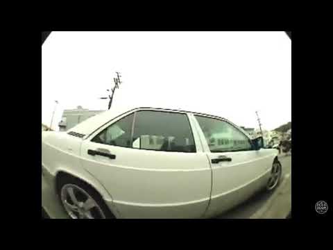 Marc Johnson Lakai Fully Flared - Goodbye Horses