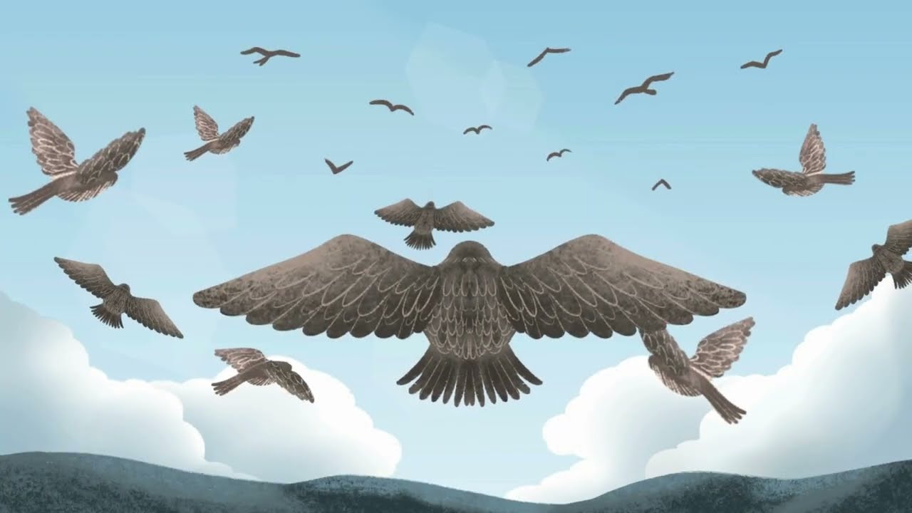 World Migratory Bird Day 2025 Animation - Shared Spaces (Long ver.)
