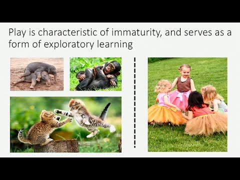 CARTA: Imagination and Human Origins: Caren Walker - Imagination and Learning in Early Childhood