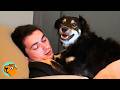 Dog Scared Of Men Becomes This Guy S Shadow Cuddle Buddies